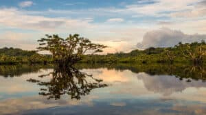 Tour Ecuador 8 giorni: Ande, Cotopaxi, Quilotoa e Amazzonia