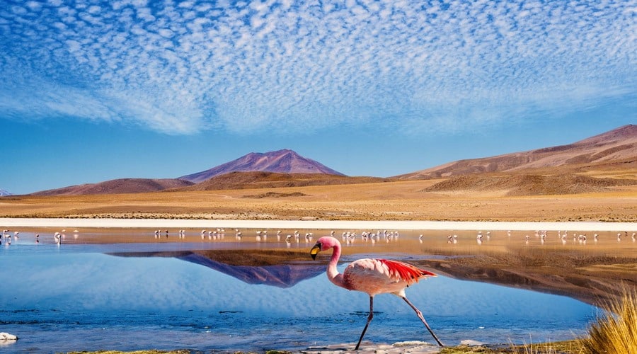 Laguna at the Ruta de las Joyas altoandinas