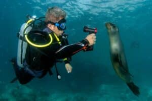 Soggiorno sub alle Galapagos di 5 giorni a Santa Cruz