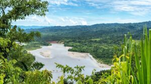 Amazzonia Perù: tour di 4 giorni a Tambopata da Puerto Maldonado
