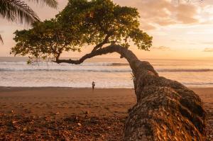 Parco nazionale Corcovado-spiaggia