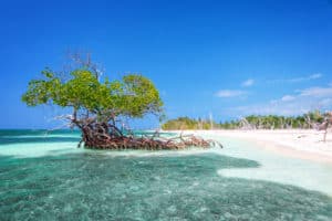 Cuba spiagge: ecco 8 playas da non perdere assolutamente!