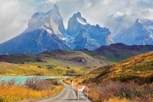 Patagonia cosa vedere. Come arrivare alla fine del mondo!