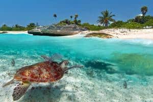 Yucatan cosa vedere: spiagge, città coloniali, rovine Maya in 7-10-14 giorni! Akumal
