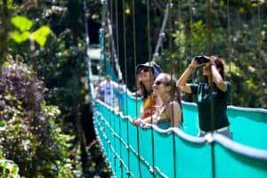 Costa Rica cosa vedere: la natura