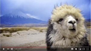 Cile, consigli di viaggio: dove andare, cosa fare-video