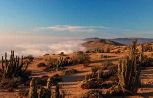 La Serena, la Valle dell'Elqui, gli osservatori astronomici: Cile, el Norte Chico