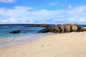 Genovesa, Galapagos: informazioni e consigli di viaggio_baia di Darwin