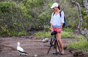 Genovesa, Galapagos: informazioni e consigli di viaggio_sula di nasca