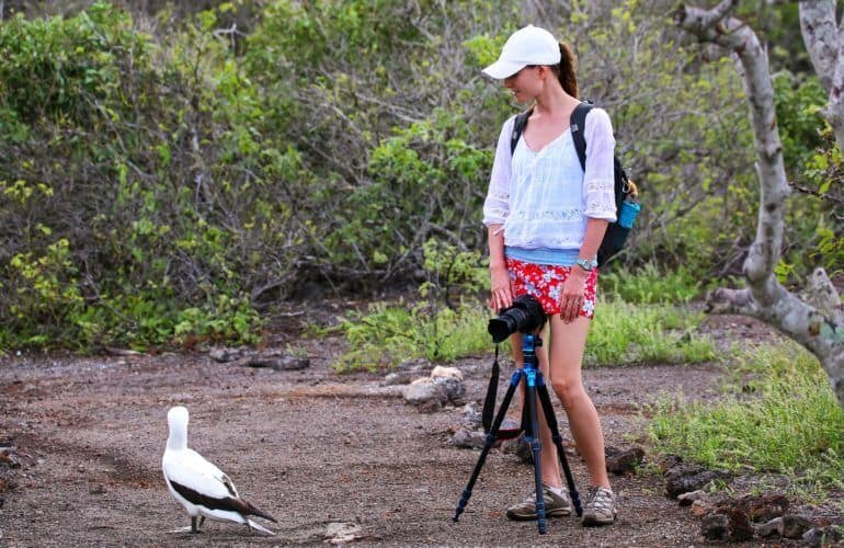 Genovesa, Galapagos: informazioni e consigli di viaggio_sula di nasca