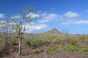 Santa Cruz_Galapagos- cosa vedere e fare_Cerro Drago