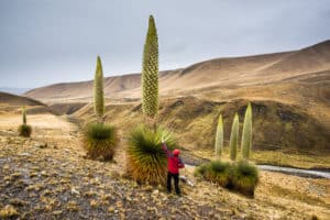 Huaraz: altitudine, cosa vedere, cosa fare, trekking