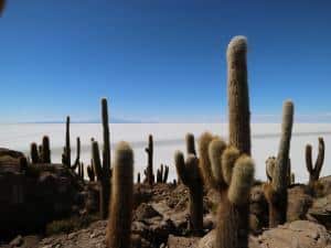 Salar de Uyuni: tour di 3 e 4 giorni. Cosa vedere, cosa sapere!