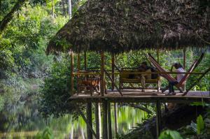 Foresta amazzonica, Perù: cosa vedere, cosa fare, come organizzare un tour - relax nel lodge