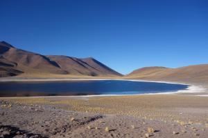San Pedro de Atacama: cosa vedere, le escursioni - laguna Miñiques