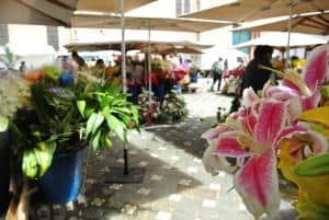 Cuenca, Ecuador: cosa vedere, altitudine, cosa fare - mercato dei fiori