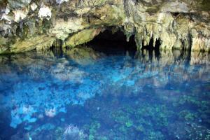 I Cenotes dello Yucatan: cosa sono, quali visitare, la guida