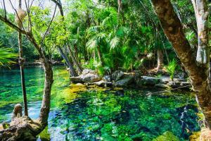 I Cenotes dello Yucatan: cosa sono, quali visitare, la guida