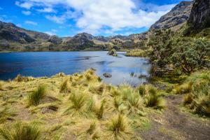 Parchi nazionali in Ecuador: gli 8 più belli. Cosa vedere, cosa fare. Parco nazionale El Cajas