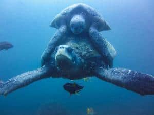 Immersioni alle Galapagos_soggiorni sub_tartarughe marine