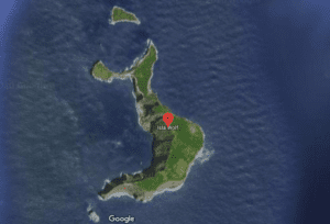 Isola di Wolf - Google