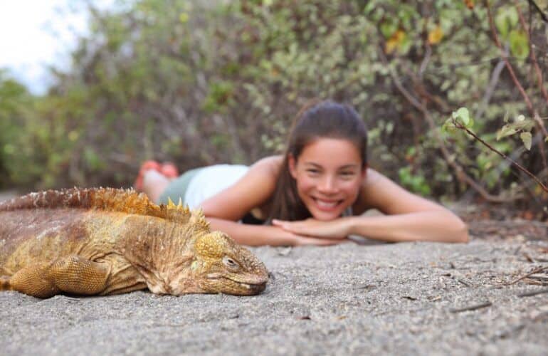 Galapagos low cost- 5 giorni _iguana