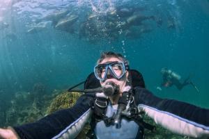 Immersioni alle Galapagos- 8 giorni a Santa Cruz e San Cristobal_selfie con i leoni di mare