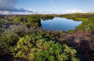 Viaggio alle Galapagos- scopri in 8 giorni le isole incantate_laguna