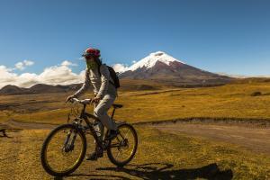 Viaggio in Ecuador: tour di 9 giorni Quito-Cotopaxi-Quilota-Amazzonia