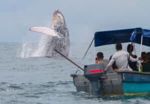 Costa del Pacifico_Colombia_Cosa vedere_ foto1 https://www.viaggio-centrosudamerica.com/colombia-pacifico/