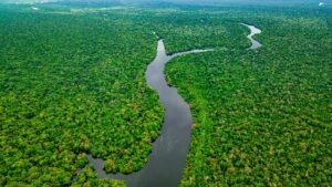Amazzonia Colombia: dove andare_cosa vedere_consigli di viaggio_foto6